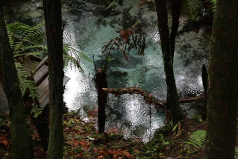Nieuw-Zeeland 2011 - 0634